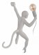 Настенный светильник Loft IT Monkey 10314W/A. 