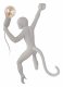 Настенный светильник Loft IT Monkey 10314W/B. 
