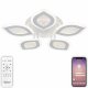 Потолочная люстра Natali Kovaltseva LED LAMPS 81167. 