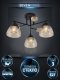 Потолочная люстра Seven Fires Aislin SF3375/3C-BK-WD-AM. 