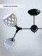 Потолочная люстра Wedo Light Berta WD3564/4C-BK-CR-WT. 