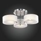 Потолочная люстра ST Luce Foresta SL483.502.03. 