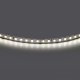 Светодиодная лента Lightstar 420844. 