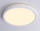Накладной светильник Ambrella Light FZ FZ1901. 