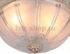 Потолочный светильник Arte Lamp Piatti A8014PL-2WA. 