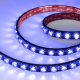 Светодиодная лента FLT с фокусирующими линзами 050117. 
