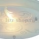 Потолочный светильник Arte Lamp Sinderella A4865PL-2CC. 