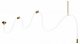 Подвесной светильник Loft IT Thread 10388B Brass. 