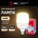 Лампочка светодиодная  LED POWER T80-30W-4000-E27 R. 