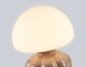 Настольная лампа декоративная Ambrella Light LH LH53247. 