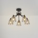 Потолочная люстра Capella FR4017PL-05BBZ. 