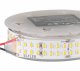Лента светодиодная ELFLED  ELFLED-24320-LX170/2-nw. 