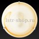 Настенно-потолочный светильник Toplight Irma TL9071Y-02BE. 