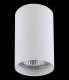 Точечный накладной светильник Lightstar Rullo 214436. 