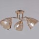 Потолочная люстра Reluce 02560-0.3-03 FG. 