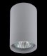 Точечный накладной светильник Lightstar Rullo 214439. 