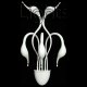 Бра Lightstar Cigno Collo 751656. 