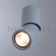 Точечный накладной светильник Divinare Gavroche Posto 1800/05 PL-1. 