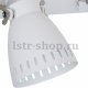 Настенно-потолочный светильник Arte Lamp Luned A2214AP-2WH. 