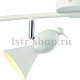 Потолочный светильник Arte Lamp Picchio A9229PL-4WH. 