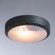 Уличный настенно-потолочный светильник Arte Lamp City A8154PF-2GY. 