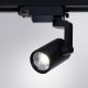 Потолочный светильник Arte Lamp 2310 A2310PL-1BK. 