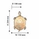 Бра Favourite Turtle 2256-1W. 