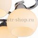 Потолочная люстра Arte Lamp A6058PL-8CC. 