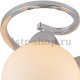 Потолочная люстра Arte Lamp A6058PL-8CC. 