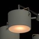 Потолочная люстра MW-Light Сайрус 1 721010105. 
