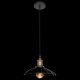 Подвесной светильник Loft IT Loft1101. 